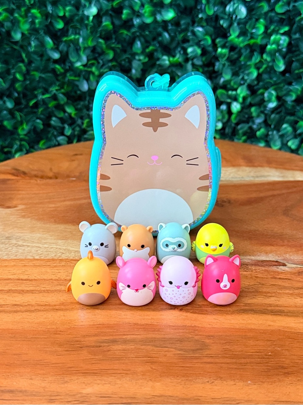 Squish-a-longs by Squishmallows House Pets Bundle